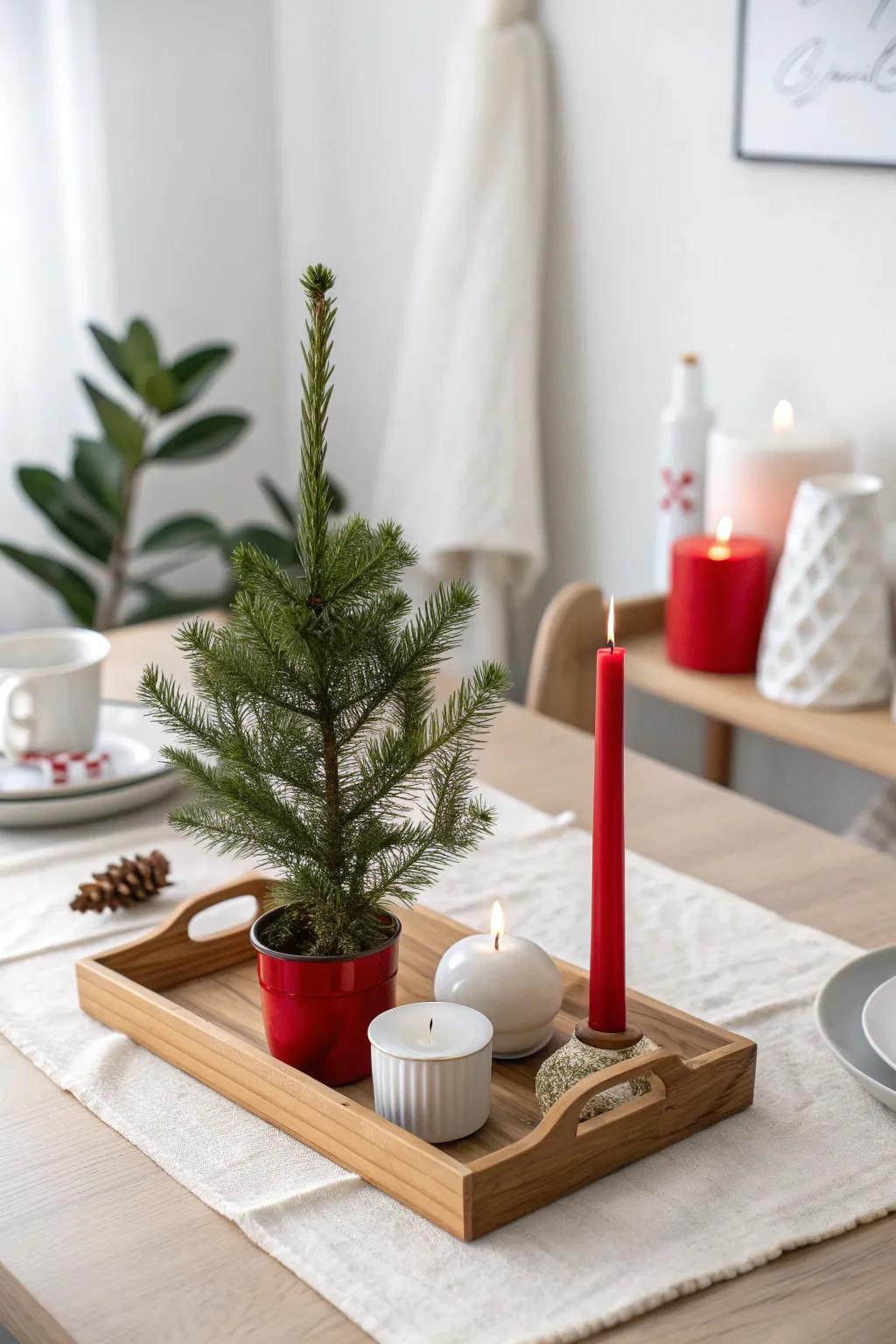 A cohesive color scheme ties your festive decorations together beautifully. 🎨 #ColorScheme #FestiveDecor